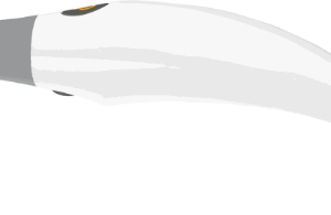Heron